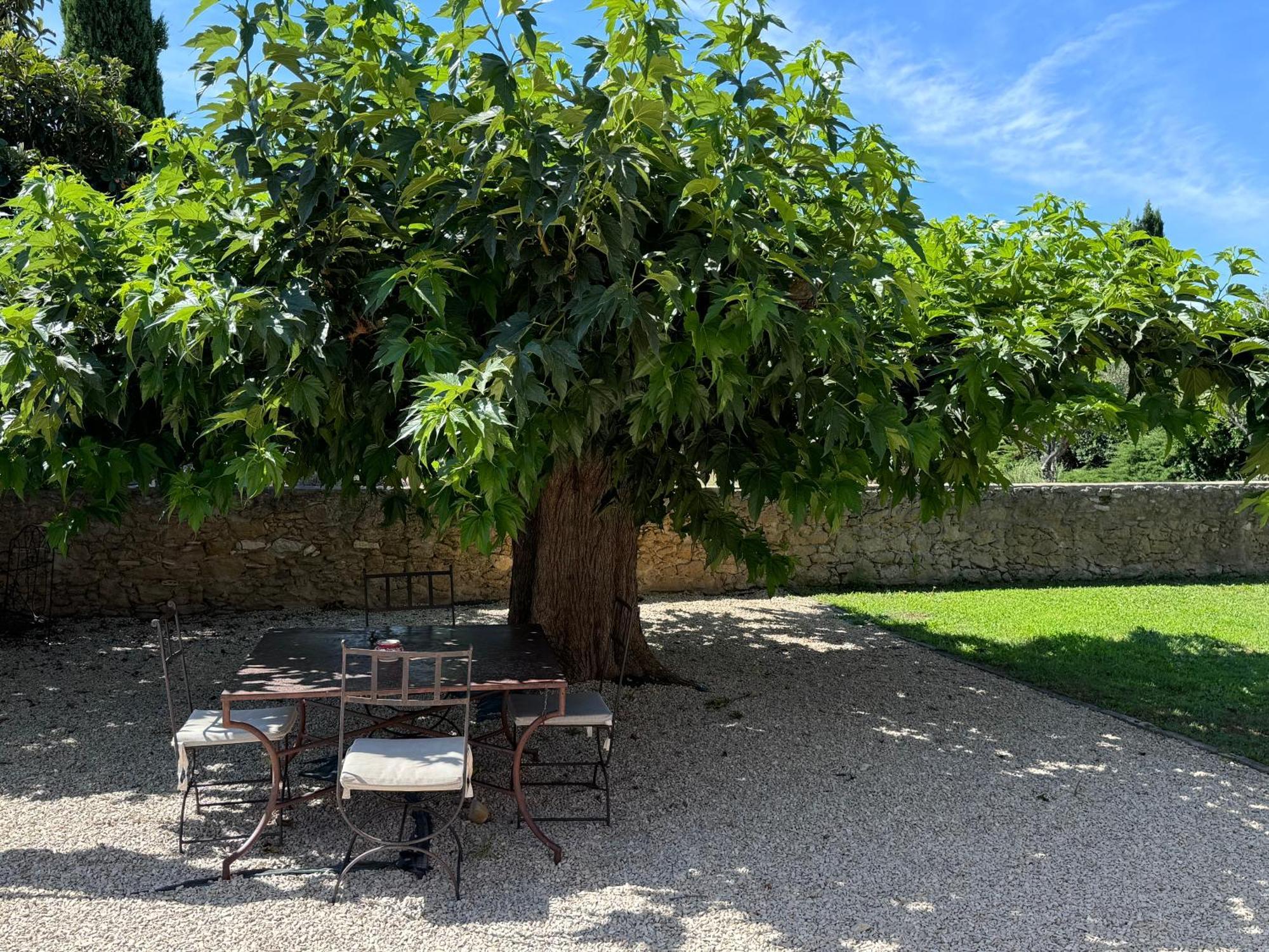 Bastide Du Buou Apartment Puyvert Cameră foto